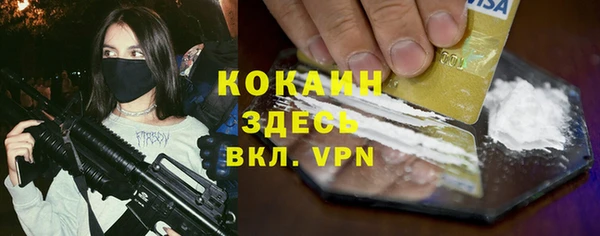 соль ск Белокуриха