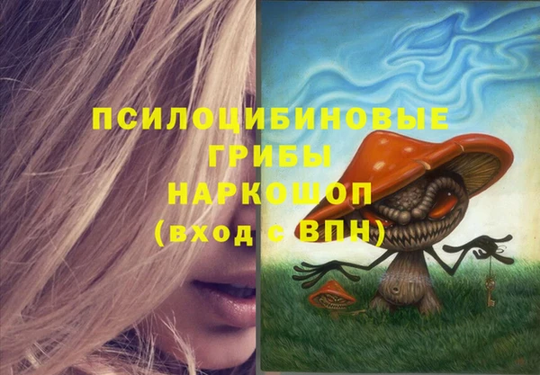 соль ск Белокуриха